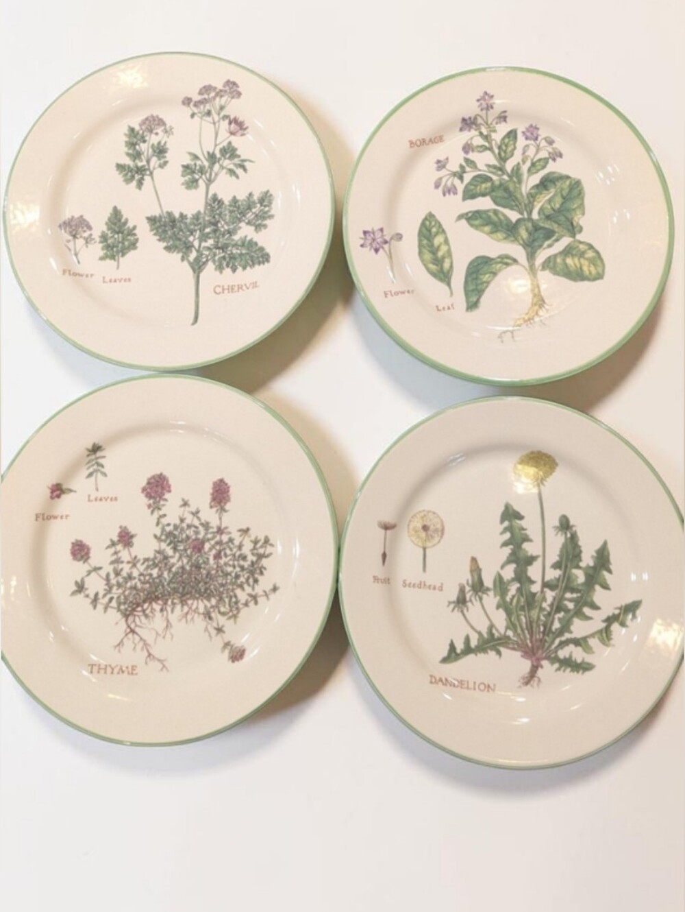 Williams Sonoma Culinary Herbs Ceramic Plates 4 Thyme Borage Chervil Dandelion